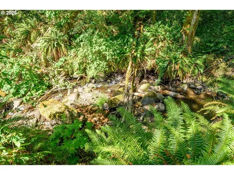 9920 SW Gilbert Creek Road Willamina OR 97396