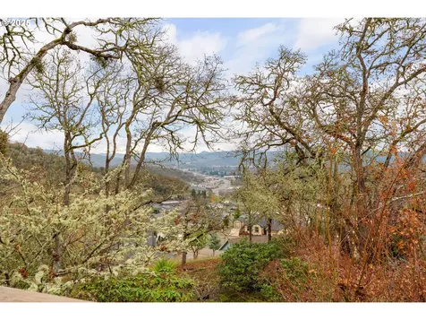 171 NW Rachel Lynn Way Roseburg OR 97471