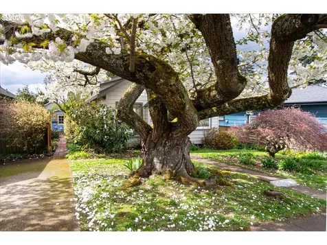 221 NE 58th Avenue Portland OR 97213