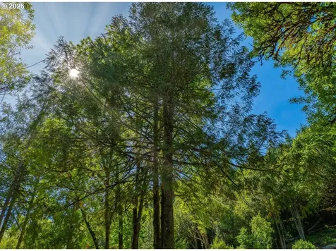 55593 Glen Aiken Creek Road Coquille OR 97423