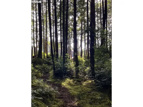 810 SW Wakeetum Street Waldport OR 97394