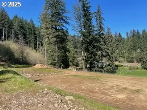 62 Wallace Creek Road Carson WA 98610