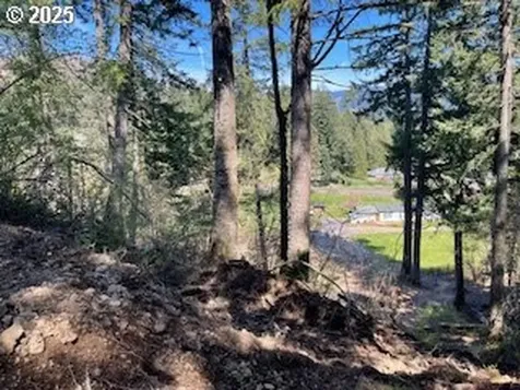 62 Wallace Creek Road Carson WA 98610