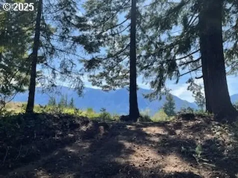 62 Wallace Creek Road Carson WA 98610