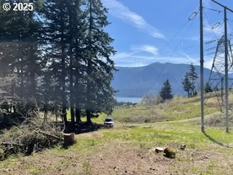 62 Wallace Creek Road Carson WA 98610