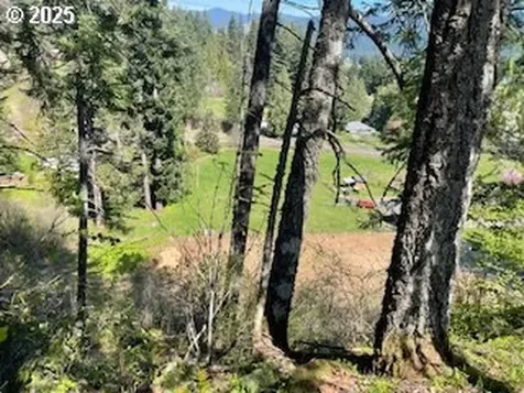 62 Wallace Creek Road Carson WA 98610