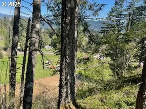 62 Wallace Creek Road Carson WA 98610