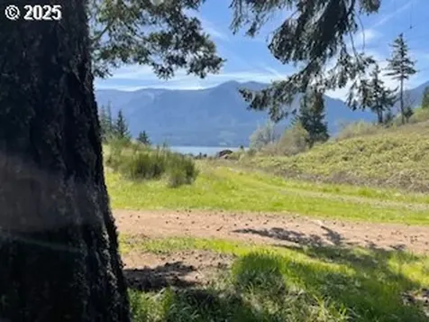 62 Wallace Creek Road Carson WA 98610