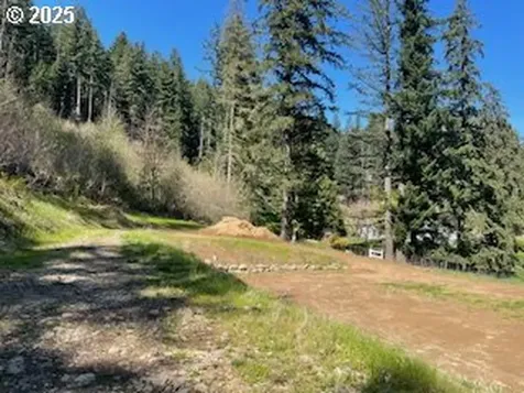 62 Wallace Creek Road Carson WA 98610