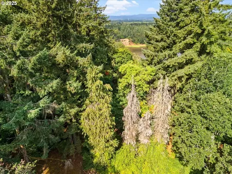 31315 NW 71st Avenue Ridgefield WA 98642