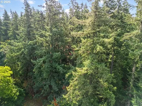 31315 NW 71st Avenue Ridgefield WA 98642