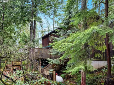 64711 E Sandy River Lane Rhododendron OR 97049