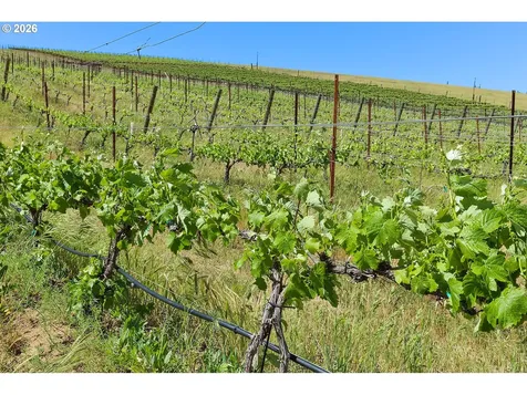 5073 Chenoweth Road The Dalles OR 97058