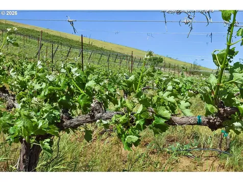 5073 Chenoweth Road The Dalles OR 97058