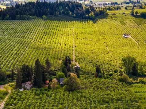 Neal Creek Mill Road Hood River OR 97031