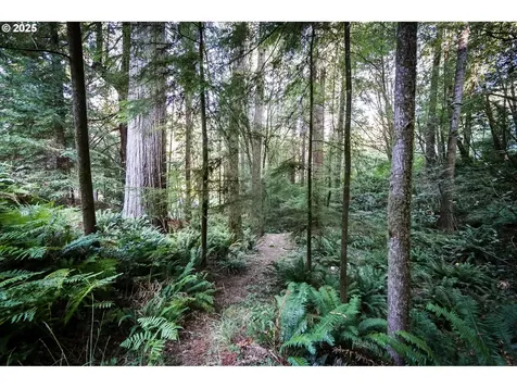 1107 Winchuck River Road Brookings OR 97415
