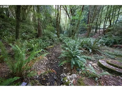 1107 Winchuck River Road Brookings OR 97415