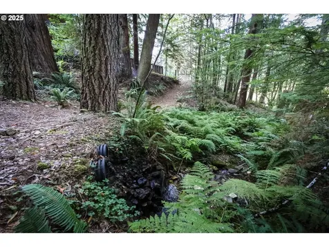 1107 Winchuck River Road Brookings OR 97415