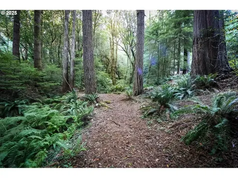 1107 Winchuck River Road Brookings OR 97415