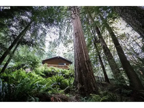 1107 Winchuck River Road Brookings OR 97415