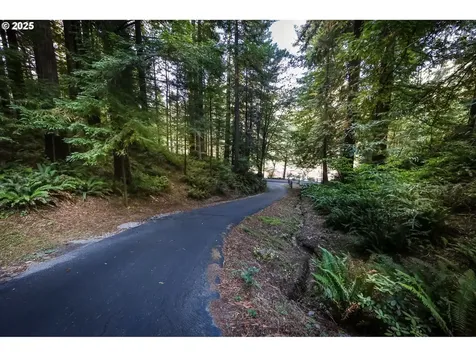 1107 Winchuck River Road Brookings OR 97415
