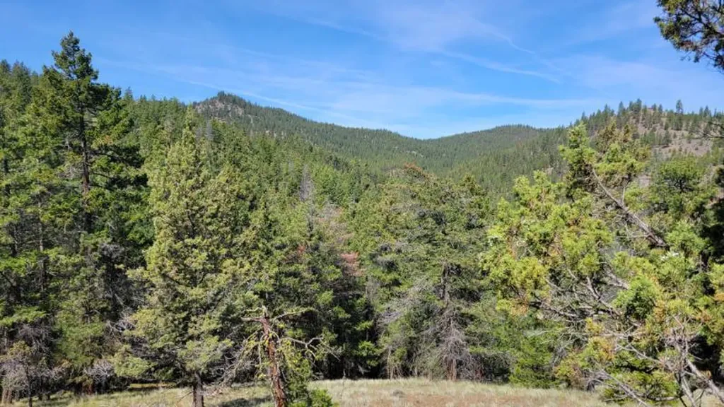 1315 NE Lofton Creek Road Prineville OR 97754