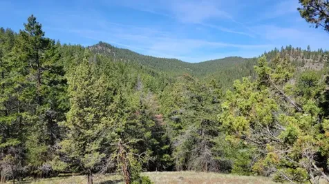 1315 NE Lofton Creek Road Prineville OR 97754