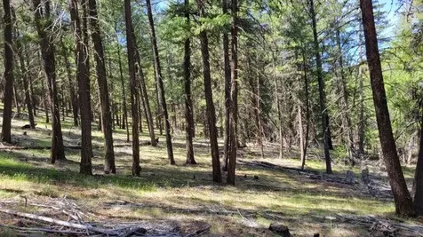 1315 NE Lofton Creek Road Prineville OR 97754