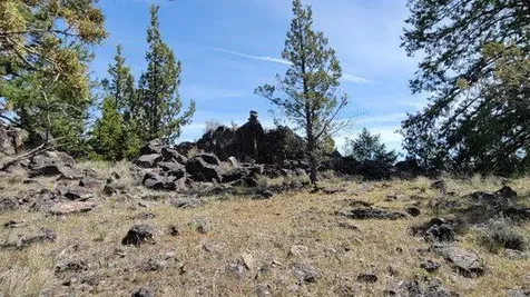 1315 NE Lofton Creek Road Prineville OR 97754