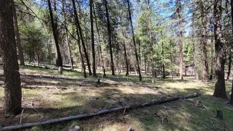 1315 NE Lofton Creek Road Prineville OR 97754