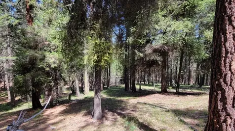1315 NE Lofton Creek Road Prineville OR 97754