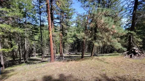 1315 NE Lofton Creek Road Prineville OR 97754