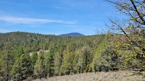 1315 NE Lofton Creek Road Prineville OR 97754