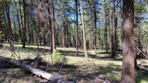 1315 NE Lofton Creek Road Prineville OR 97754