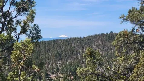 1315 NE Lofton Creek Road Prineville OR 97754