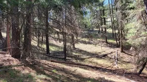 1315 NE Lofton Creek Road Prineville OR 97754