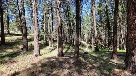 1315 NE Lofton Creek Road Prineville OR 97754