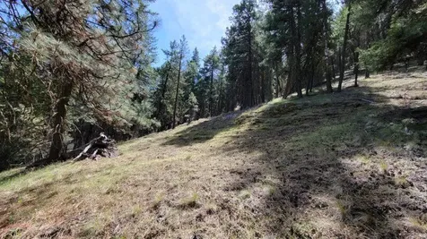 1315 NE Lofton Creek Road Prineville OR 97754