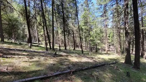 1315 NE Lofton Creek Road Prineville OR 97754