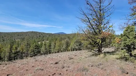 1315 NE Lofton Creek Road Prineville OR 97754