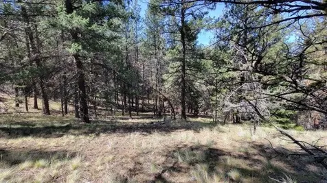 1315 NE Lofton Creek Road Prineville OR 97754