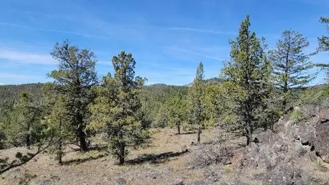1315 NE Lofton Creek Road Prineville OR 97754
