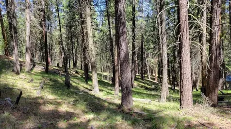 1315 NE Lofton Creek Road Prineville OR 97754