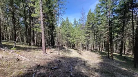 1315 NE Lofton Creek Road Prineville OR 97754