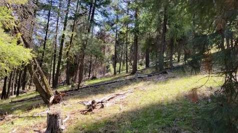 1315 NE Lofton Creek Road Prineville OR 97754