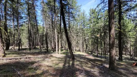 1315 NE Lofton Creek Road Prineville OR 97754