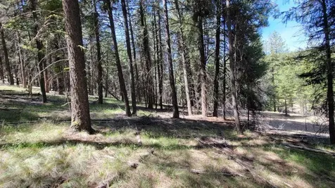 1315 NE Lofton Creek Road Prineville OR 97754
