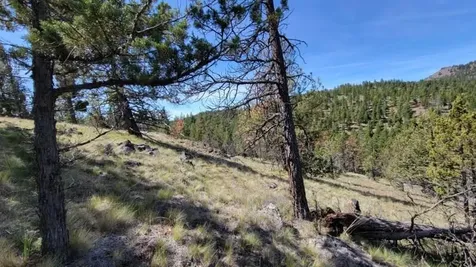 1315 NE Lofton Creek Road Prineville OR 97754