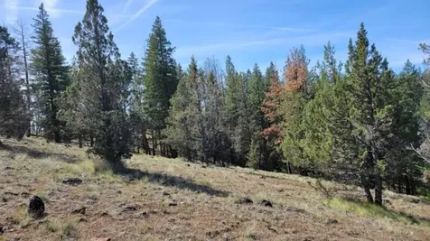 1315 NE Lofton Creek Road Prineville OR 97754