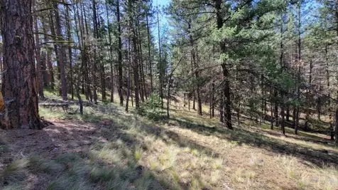 1315 NE Lofton Creek Road Prineville OR 97754